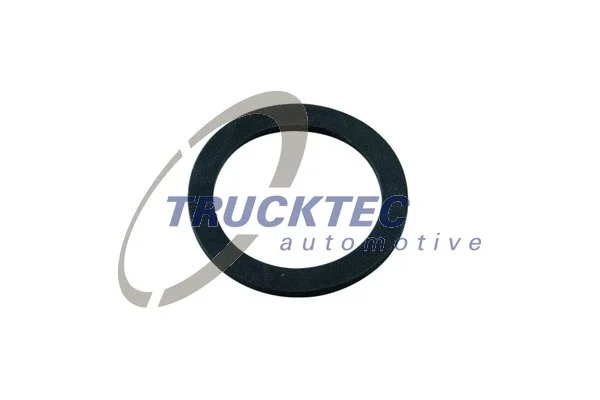 Seal, fuel filter (01.67.010)