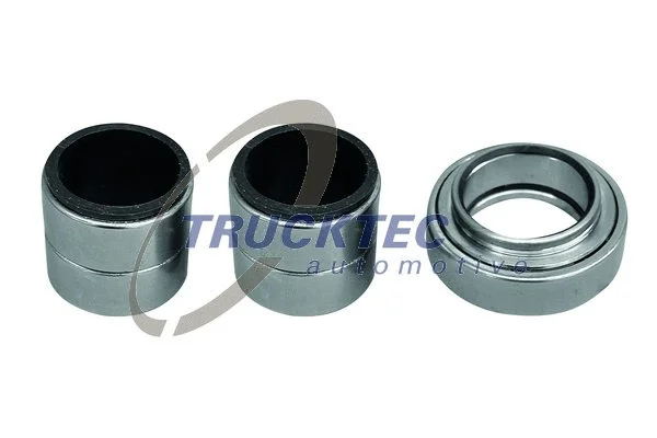 Repair Kit, kingpin (01.31.019)