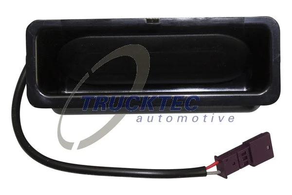 Tailgate Handle (08.62.325)