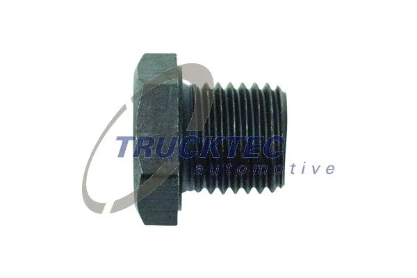 Screw Plug, oil sump (07.67.001)