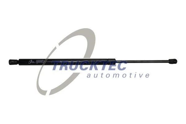Gas Spring, boot/cargo area (02.60.555)