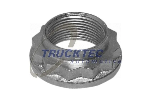 Axle Nut, drive shaft (08.32.053)