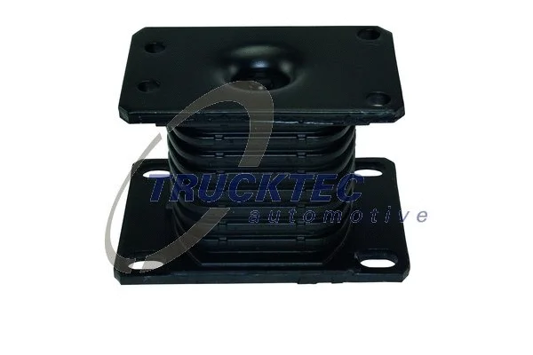 Mounting, leaf spring (01.30.117)