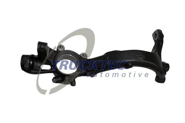 Steering Knuckle, wheel suspension (07.31.304)
