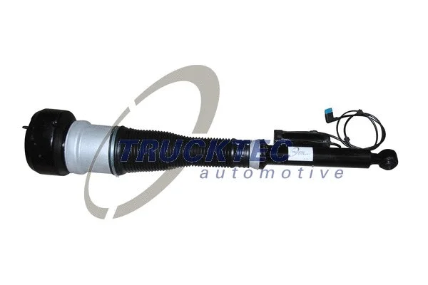 Air Suspension Strut (02.30.173)
