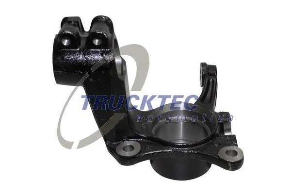 Steering Knuckle, wheel suspension (07.31.293)