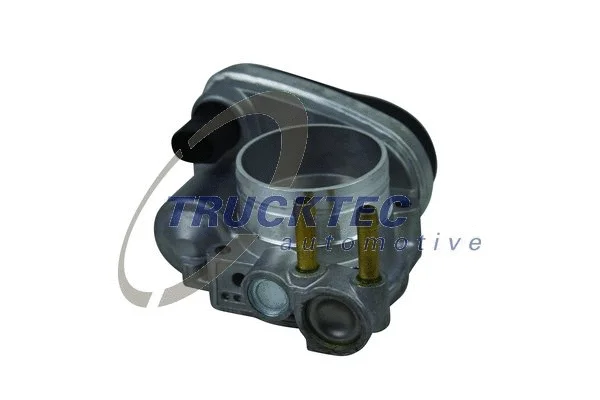Throttle Body (07.14.225)