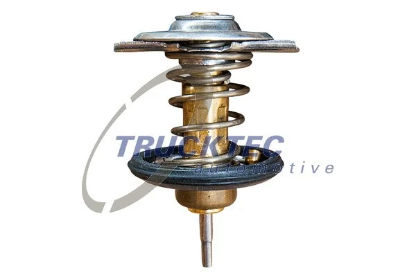 Thermostat, coolant (02.19.260)