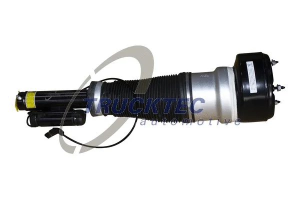 Air Suspension Strut (02.30.171)