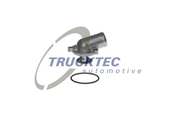 Thermostat, coolant (02.19.098)
