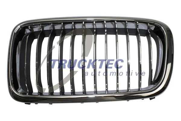 Radiator Grille (08.62.297)