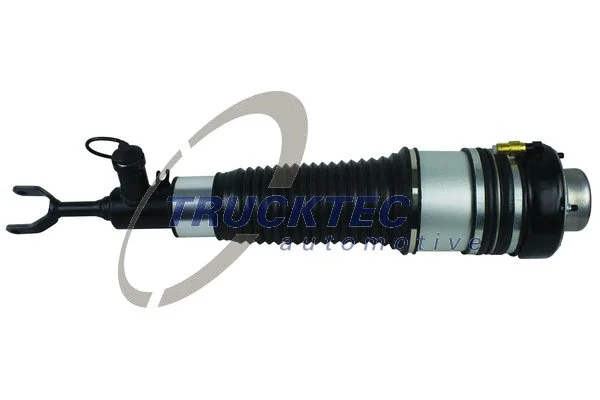 Air Suspension Strut (07.30.059)
