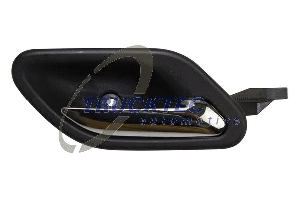 Exterior Door Handle (08.62.773)