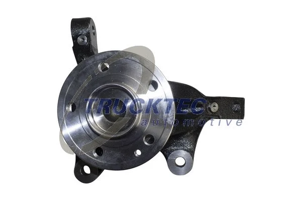 Steering Knuckle, wheel suspension (02.31.411)