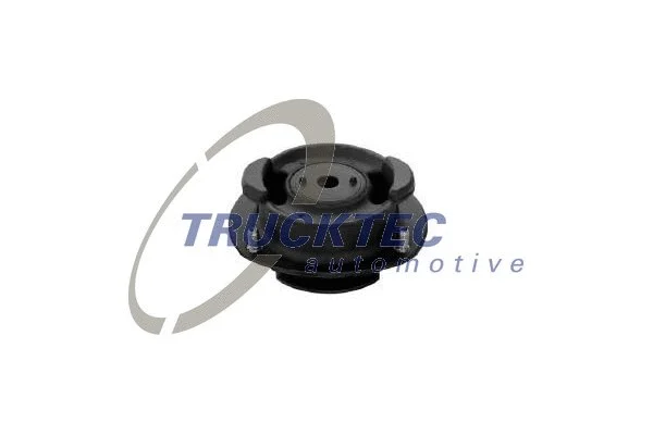 Suspension Strut Support Mount (02.30.007)