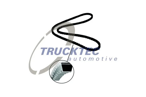 V-Belt (03.19.009)