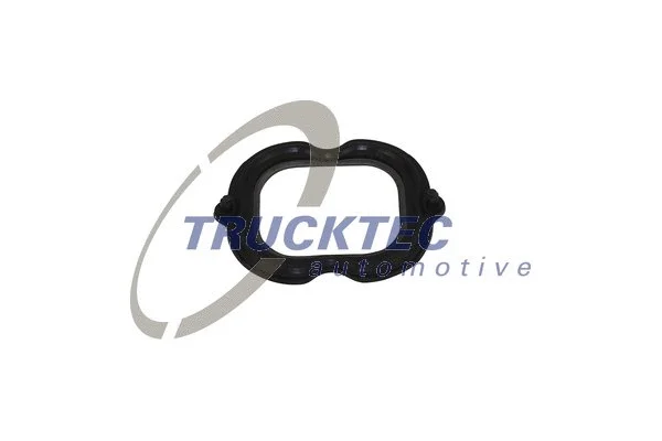 Gasket, intake manifold (01.16.103)