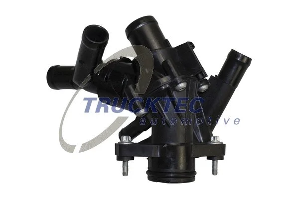 Thermostat, coolant (02.19.384)