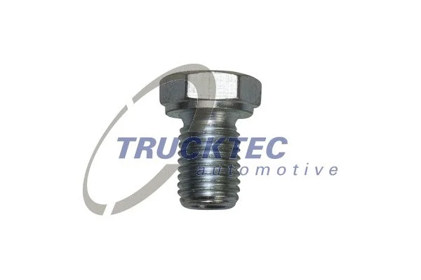 Screw Plug, oil sump (08.10.150)