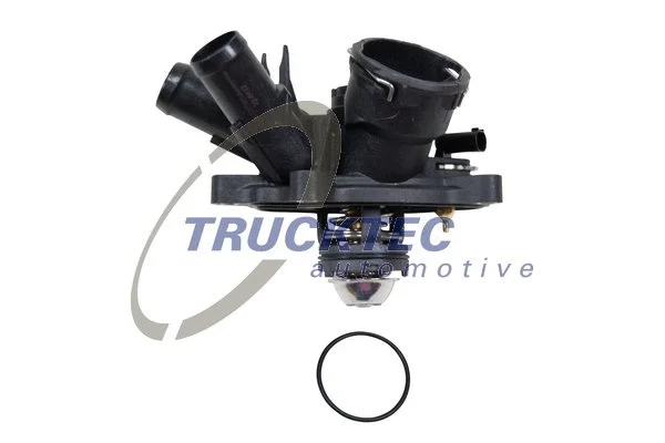 Thermostat, coolant (02.19.321)