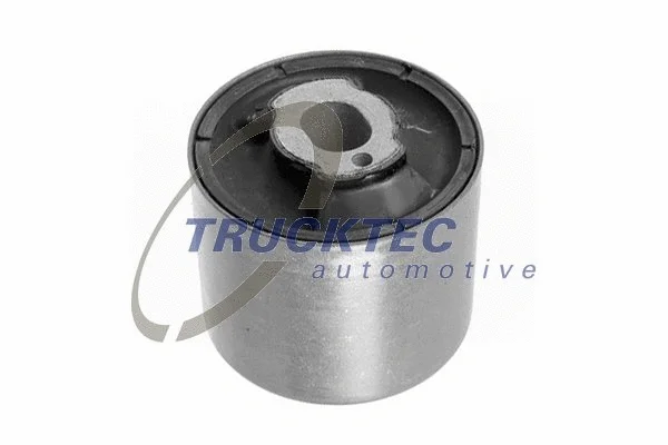 Bushing, axle beam (08.32.062)