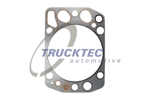 Gasket, cylinder head (01.10.014)