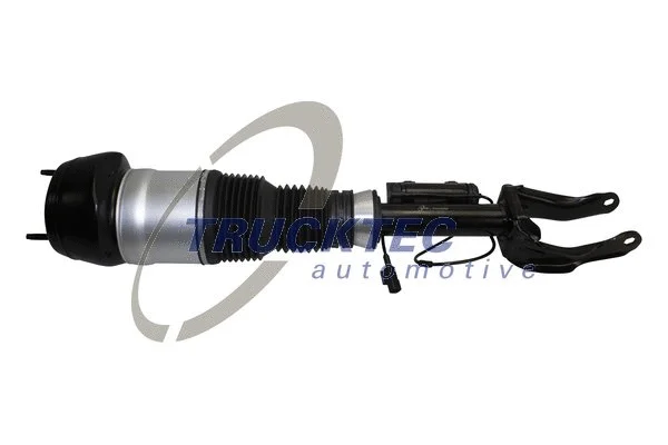 Air Suspension Strut (02.30.367)