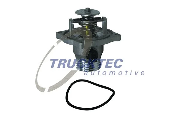 Thermostat, coolant (08.19.264)