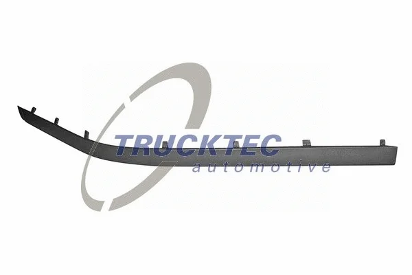 Trim/Protection Strip, bumper (08.62.561)