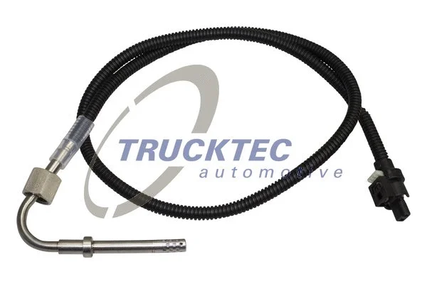 Sensor, exhaust gas temperature (02.17.161)