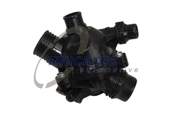 Thermostat, coolant (08.19.132)