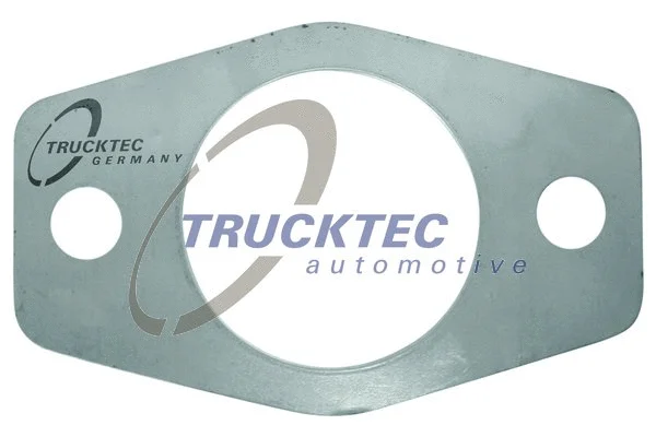 Gasket, exhaust manifold (01.16.002)