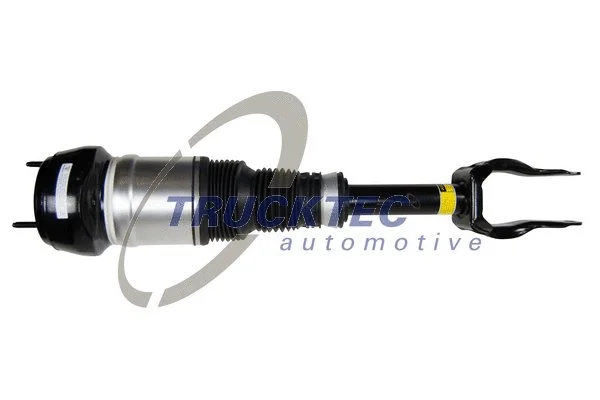 Air Suspension Strut (02.30.364)
