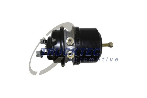 Spring-loaded Cylinder (01.35.190)