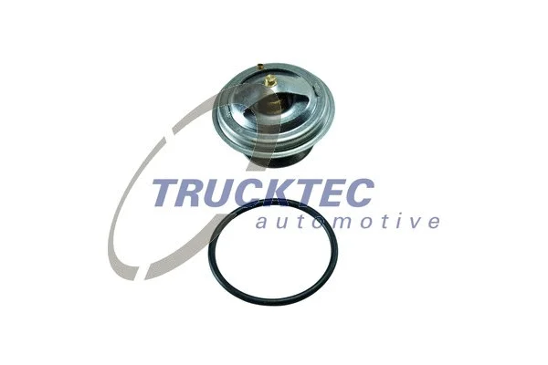 Thermostat, coolant (01.19.059)