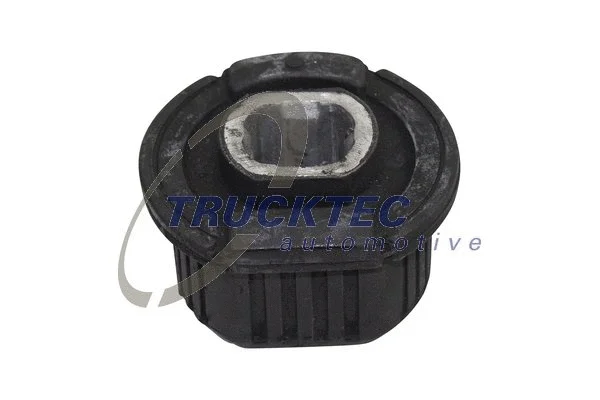 Bushing, axle beam (02.30.011)