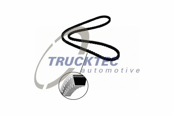 V-Belt (04.19.052)