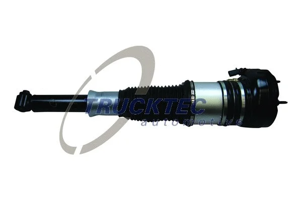 Air Suspension Strut (07.30.167)