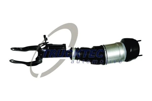 Air Suspension Strut (02.30.369)