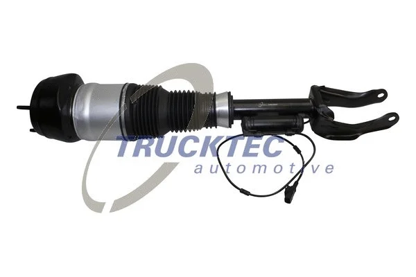 Air Suspension Strut (02.30.366)