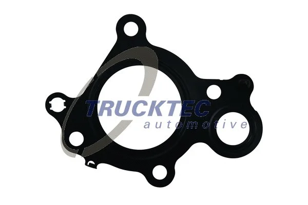 Gasket, EGR valve (02.16.078)