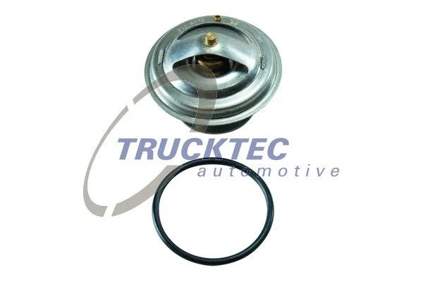 Thermostat, coolant (01.19.046)