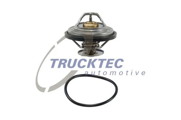 Thermostat, coolant (07.19.242)