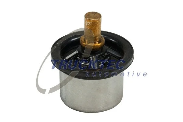 Thermostat, coolant (03.19.097)