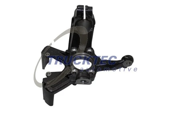 Steering Knuckle, wheel suspension (07.31.299)