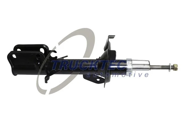 Shock Absorber (02.30.101)