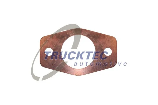 Gasket, exhaust manifold (01.16.003)