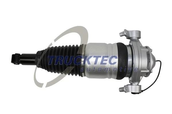 Air Suspension Strut (07.30.187)