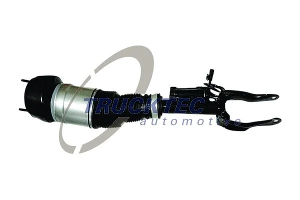Air Suspension Strut (02.30.368)