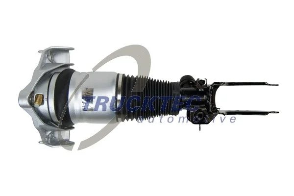 Air Suspension Strut (07.30.143)